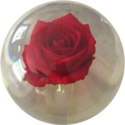 KR Strikeforce Clear Red Rose Ball 6 KR Strikeforce Clear Red Rose Ball -Bowling Equipment Shop c8fd4f9d 709e 47c9 979d ed43388d6ea4